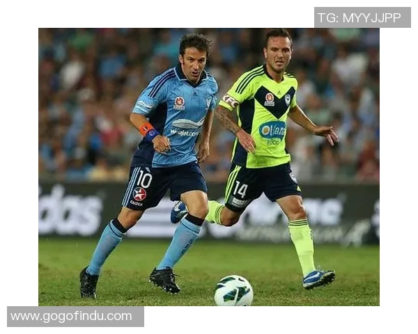 天下足球明星队员齐聚一堂展现超凡技艺与无尽魅力的盛宴