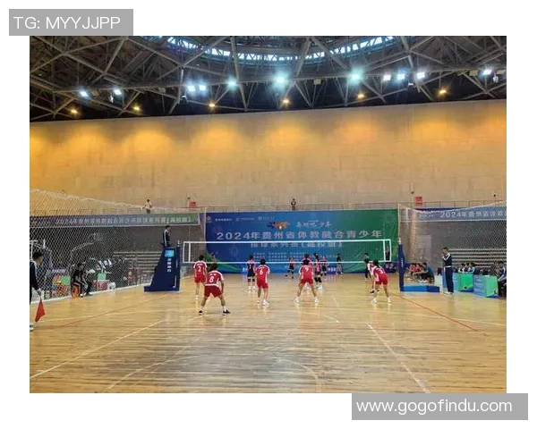 陈敏专访：探寻排球辉煌背后的成功秘诀与心路历程